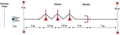 Improvement of Physical Performance Following a 6 Week Change-of-Direction Training Program in Elite Youth Soccer Players of Different Maturity Levels